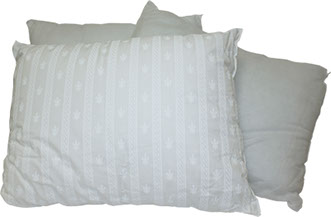 Pillows offered by capital bedding company